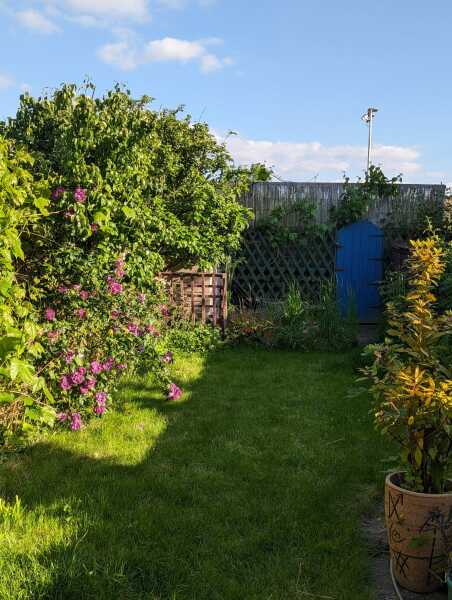 Thread 7 - TalkLair: “In fact it’s an oblate spheroid”