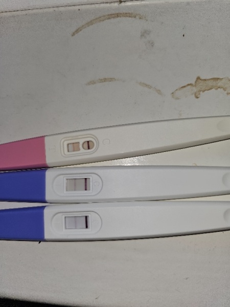 Are these tests good . Please help 