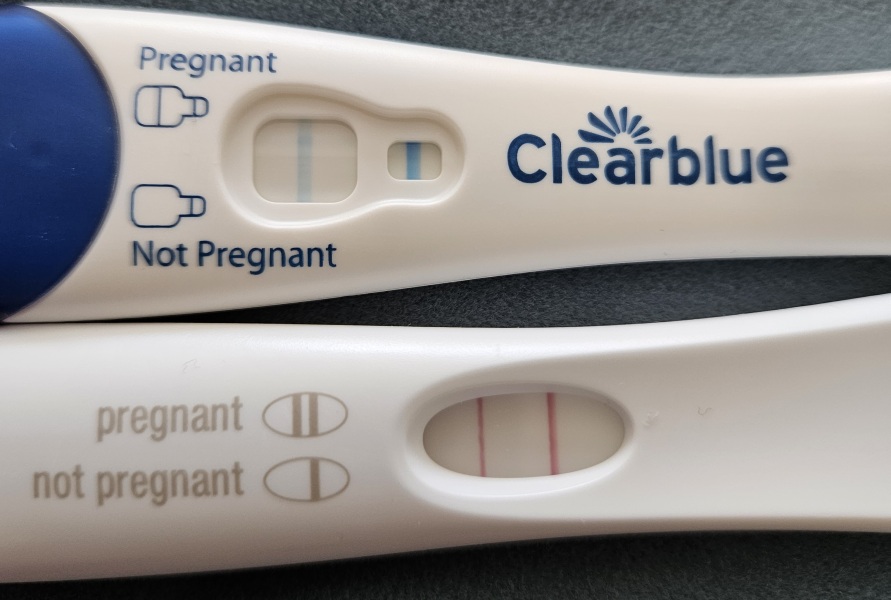 Due February 2024!