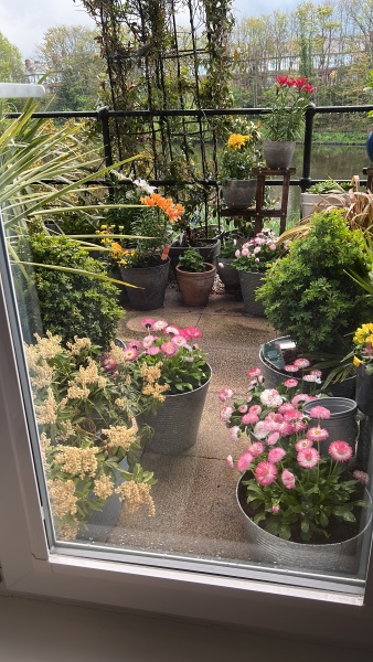 Cancer Support thread 86 - Stay Positive 