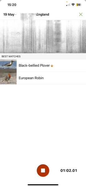 To tell you about the Merlin app - Shazam for birds?