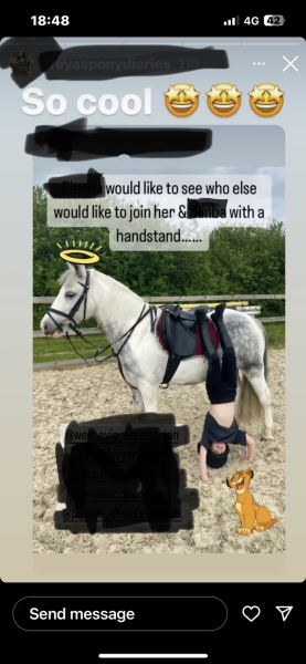 The demise of good horsemanship 