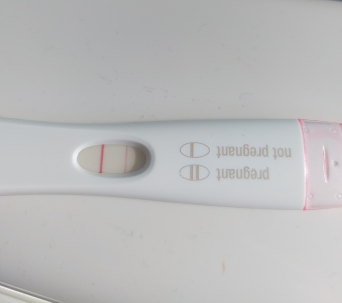 10dpo