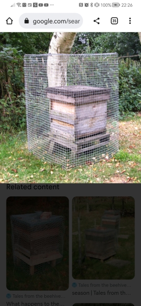 Would you hire a holiday cottage that had a beehive in the garden? 