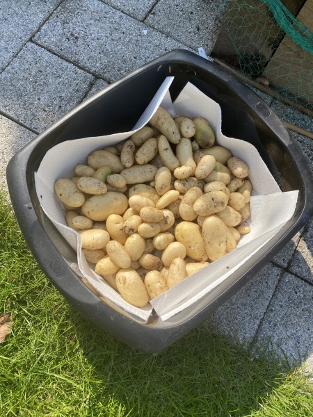 Advancing into April - Frugal Friends still being, er, Frugal.