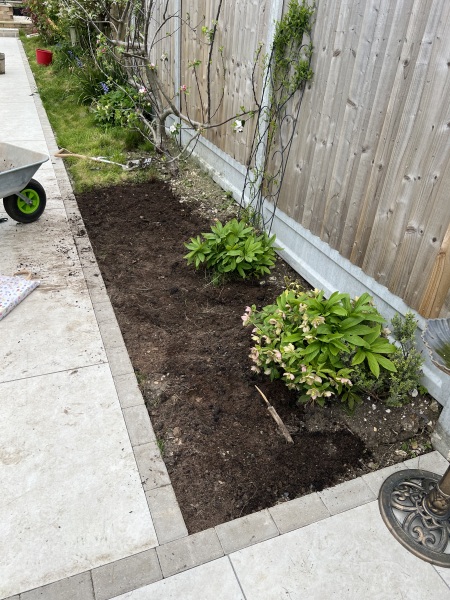 What have you done in the garden today?