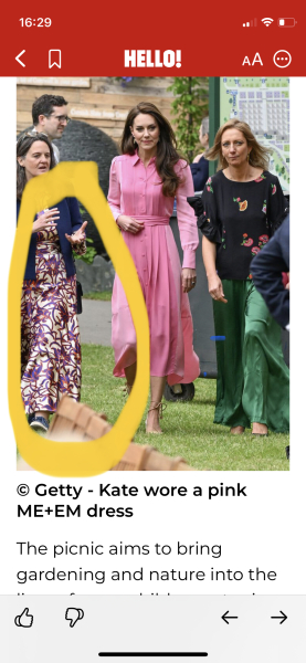Anyone recognise this dress from Chelsea flower show? 