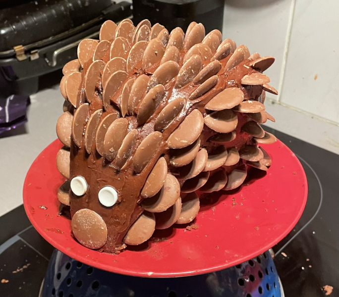 To have made the birthday cake instead of buying a fancy one?