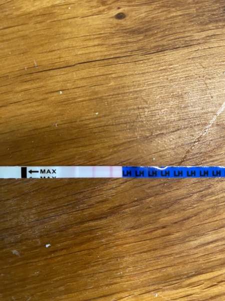 2023 TTC 35+ Part 2