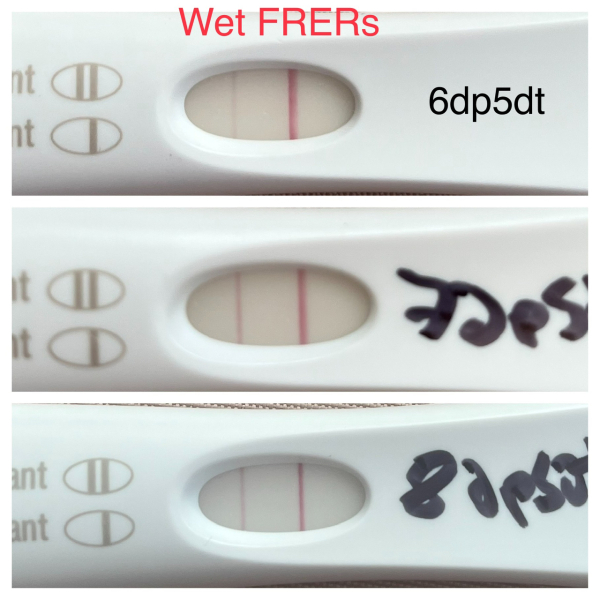 ERA/Alice/Emma infertility thread graduates/pregnancies