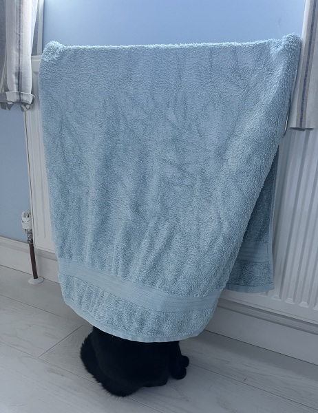 Show me your cats hiding places 