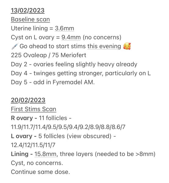 IVF/ICSI/FET May 2023