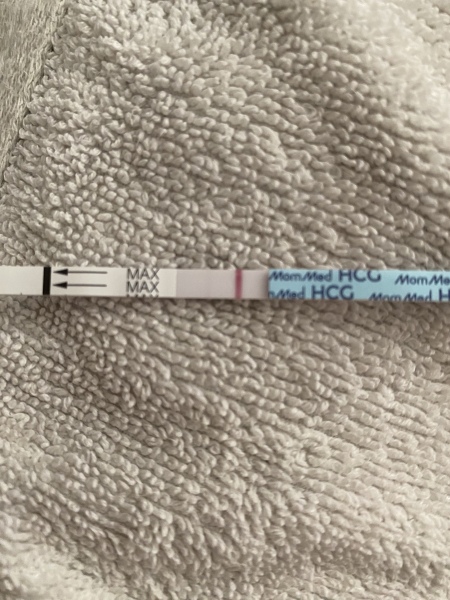 Pregnancy test