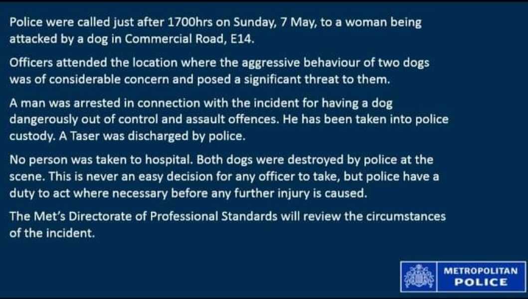 Two dogs shot in London by police