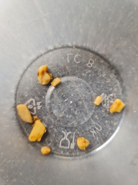 Rubber bits in dog poo