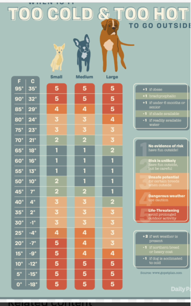 Should you take dogs out in this heat at lunch