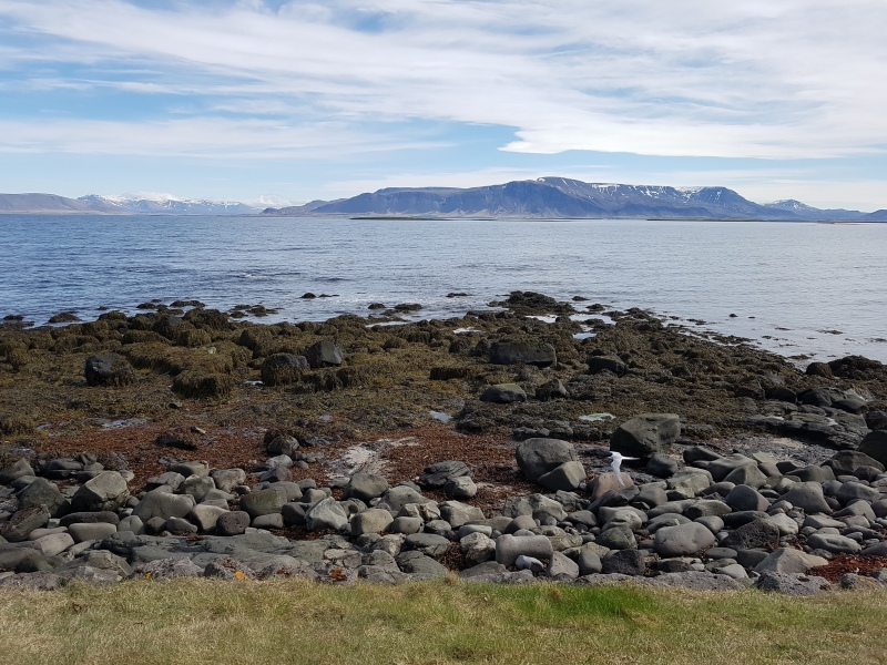 Is living beside the beach every thing you hoped it would be?