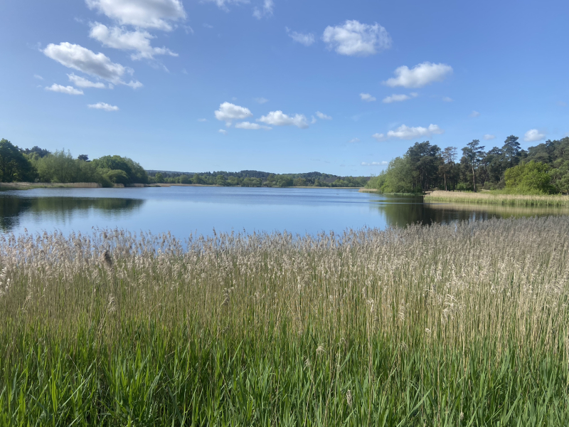 Cancer Support thread 86 - Stay Positive 