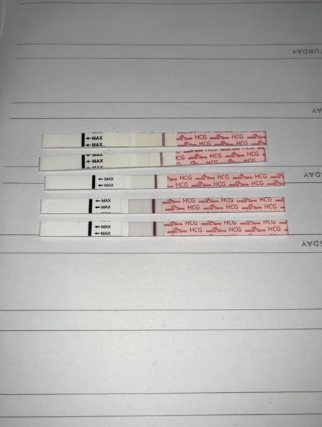 pregnancy tests