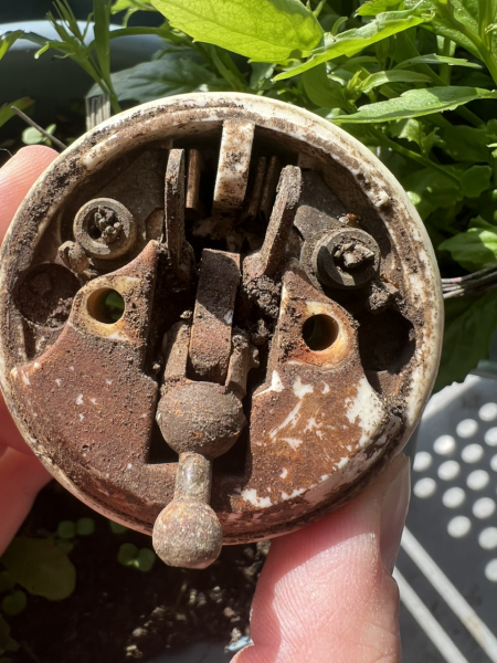 What is this? With photo.