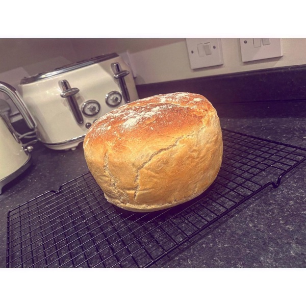 How much would you by my bread for? (Pic attached)