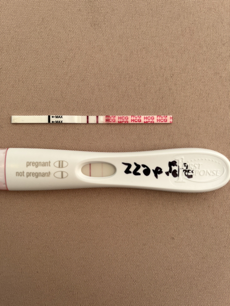 ERA/Alice/Emma infertility thread graduates/pregnancies