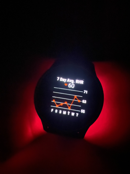 Silly fears about resting heart rate