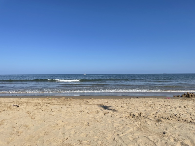 To want to live by the sea