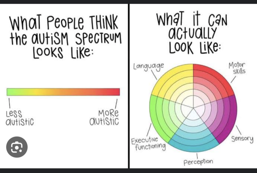 I am an "autism expert". Ask me anything.