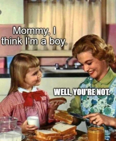 How did people start to believe in this trans stuff?