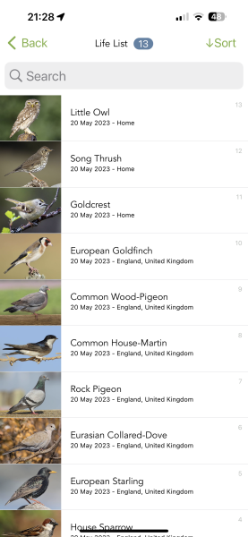 To tell you about the Merlin app - Shazam for birds?
