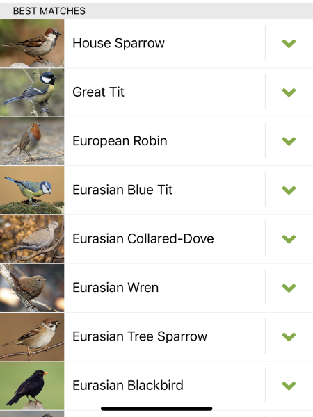 What have you done in the garden today?