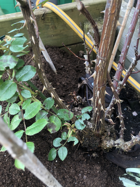 Can this be saved?