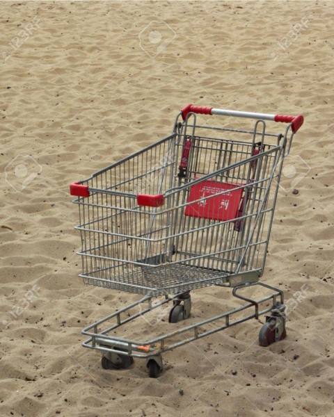 Has anyone used a shopping trolley on the beach?
