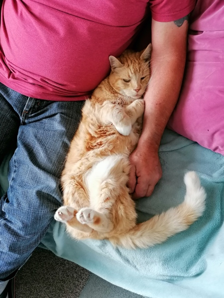 Let's have a happy thread. Show me your kitties.