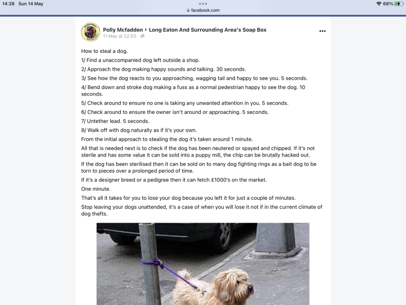 Dog thefts 