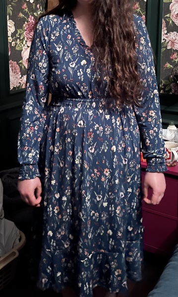 Which dress for ‘posh’ do?