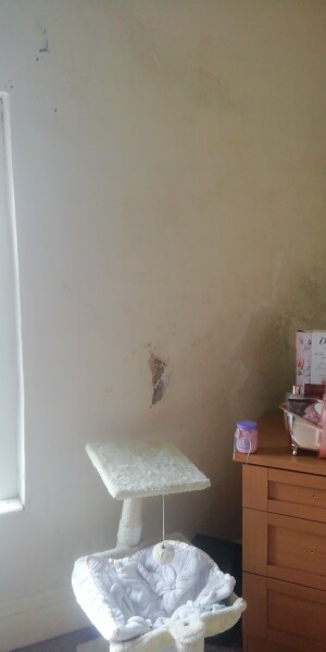 Condescension or damp? 