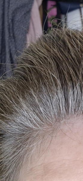 Hair colour suggestions. Lots of grey