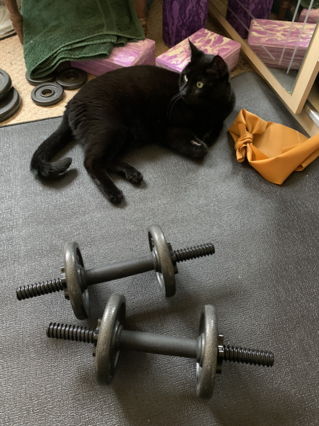 Carry on exercising - the August 2022 edition