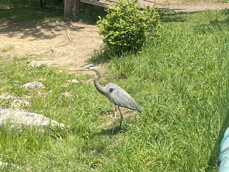 Come and tell me your dull and unexciting news 25: Calmly through the day 