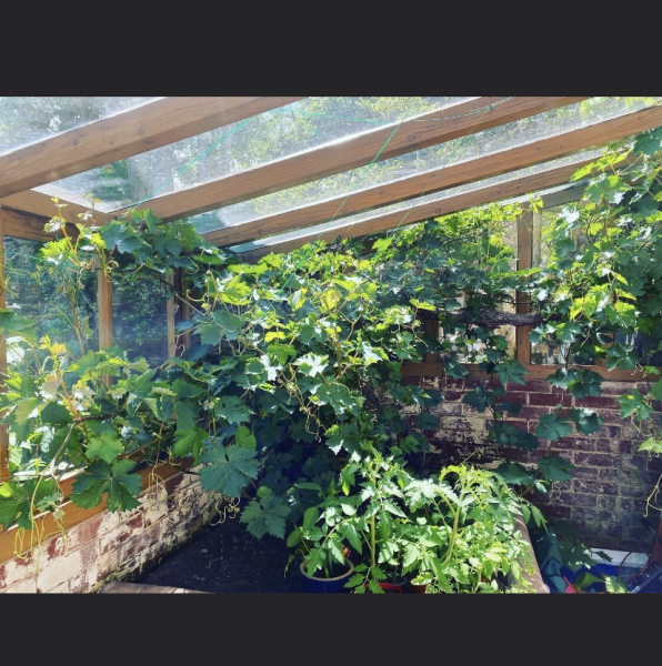 The lovely bit of your house