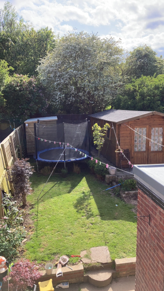 Shed paint regret