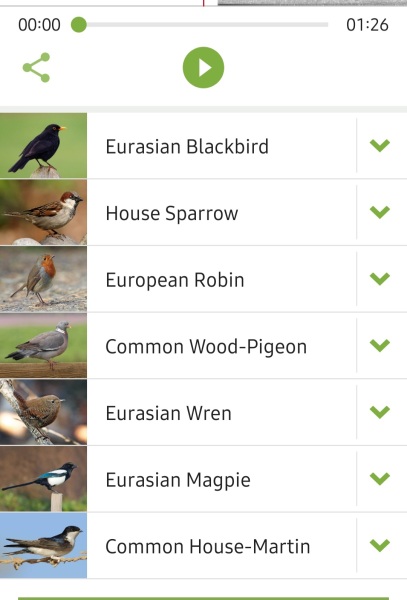 To tell you about the Merlin app - Shazam for birds?