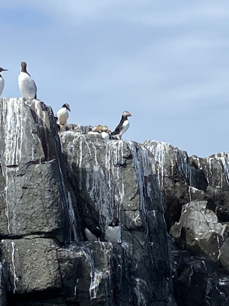 Best day out in Northumberland?