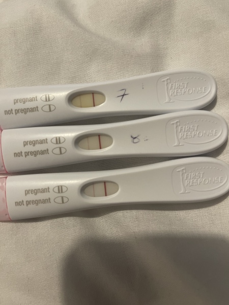 IVF April 2023