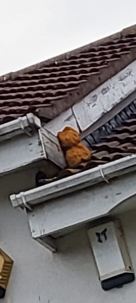 What on earth is this thing on my roof?
