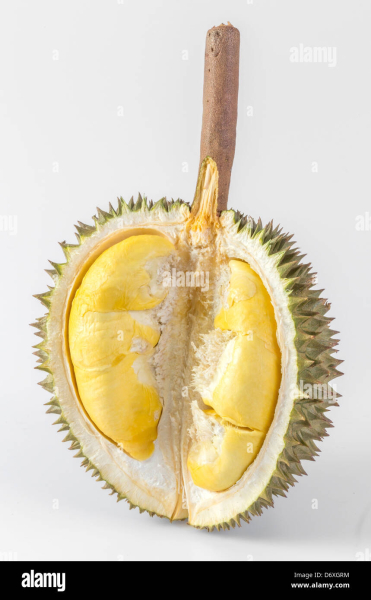 What is this fruit?