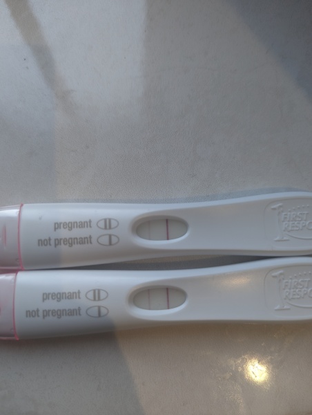 Due February 2024!