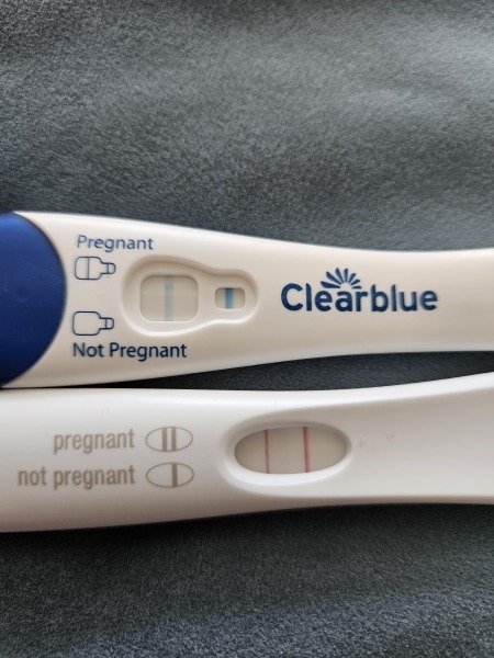 Due February 2024!